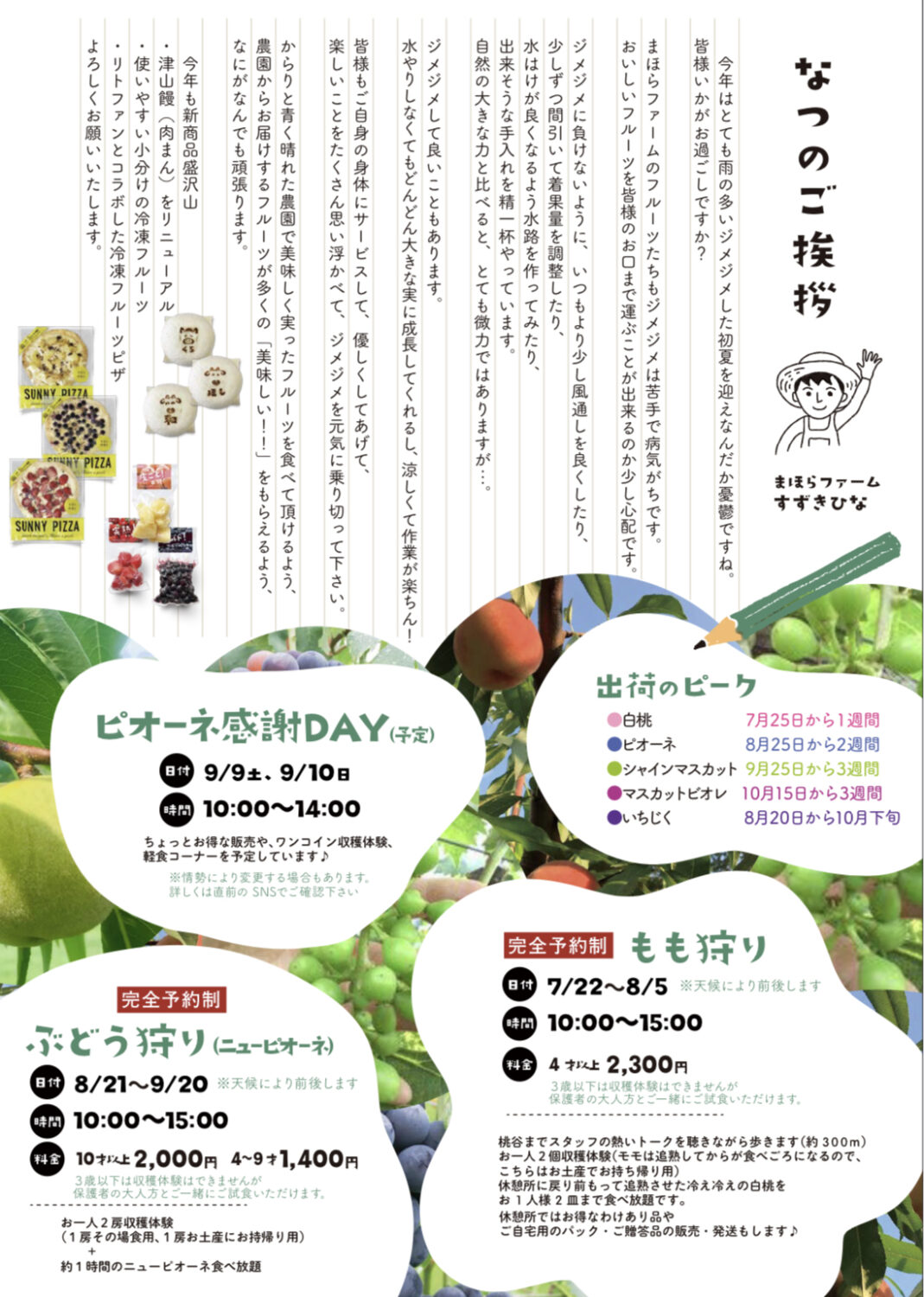 夏のダイレクトメール出来ましたƪ(˘⌣˘)ʃ