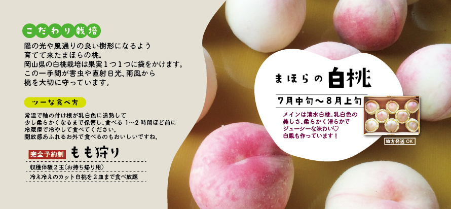 【７月下旬～８月上旬】桃狩り